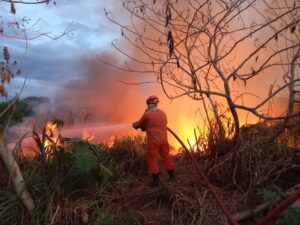 Read more about the article Bombeiros Militares apagam incêndio de grandes proporções no Bairro Pedrinhas em Ipu
