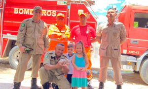 Read more about the article Bombeiros realizam resgate bem-sucedido de gata em calhas de cano, e criança decide adotar