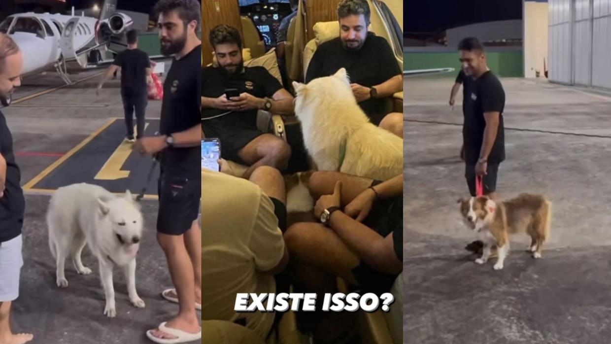 Read more about the article Henrique e Juliano levam  cachorros de Nattan escondidos  para Tocantins após after em Fortaleza