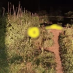 Dois corpos são encontrados crivados de bala dentro de cercado, em Varjota