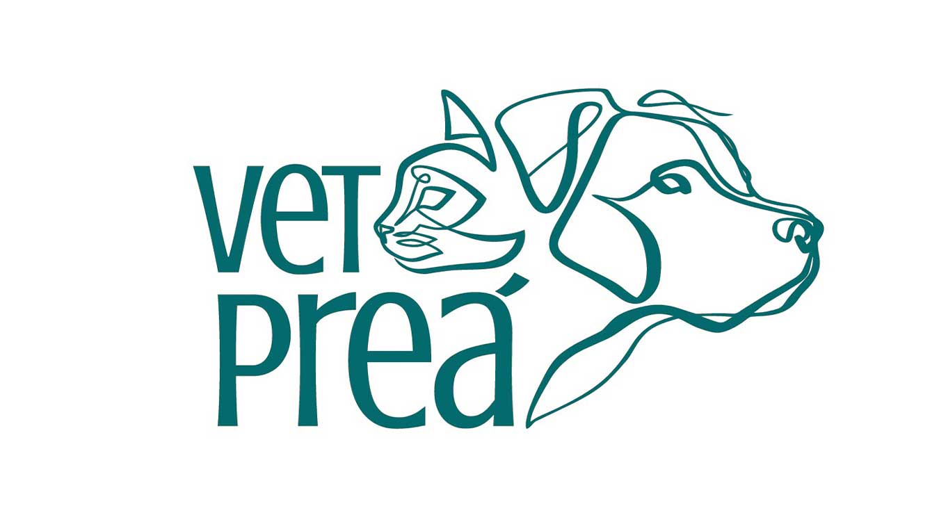 Empresa de clínica veterinária solicita Licença Ambiental em Cruz no interior do Ceará