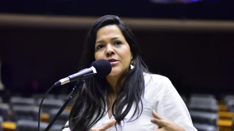 TRE-CE reconta votos e Priscila Costa vai assumir mandato de deputada no lugar de Dayany Bittencourt