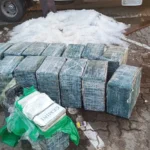 PMCE e PF apreendem uma tonelada de cocaína escondida em carga de peixes em Paracuru